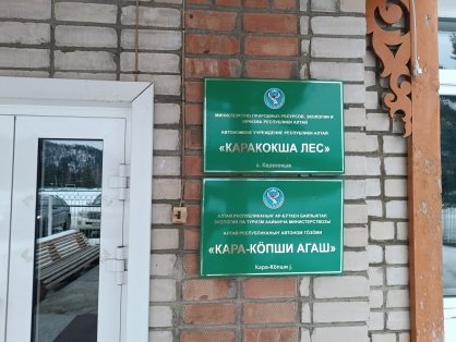 В Республике Алтай завершено расследование уголовного дела по обвинению бывшего руководителя учреждения лесного хозяйства в мошеннических действиях с использованием служебного положения