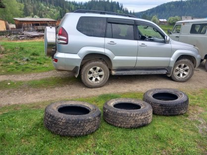 В Чойском районе возбуждено уголовное дело о должностном преступлении, совершенном бывшим директором автономного учреждения Республики Алтай «Каракокша лес»